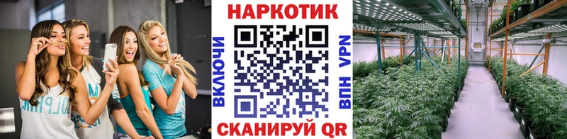Купить Можайск Бошки Шишки A-PVP Псилоцибиновые грибы Кокаин Мефедрон