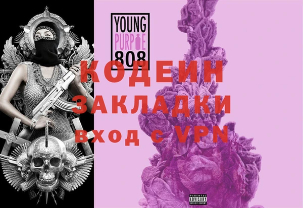 дживик Тайга