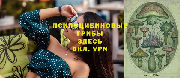 мет Верхний Тагил
