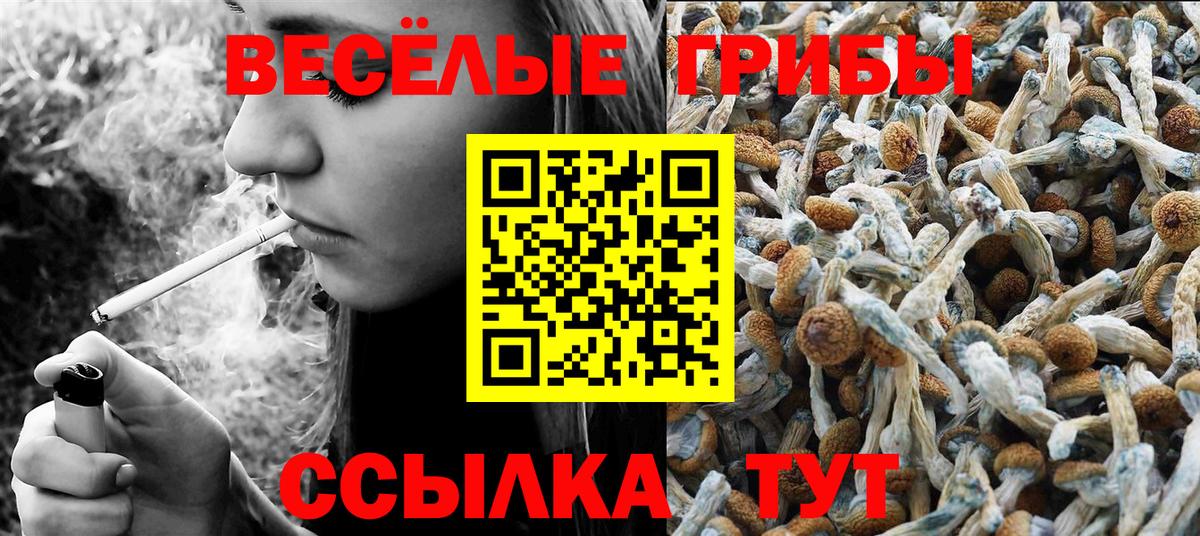 Галлюциногенные грибы мицелий  Вход с VPN  Можайск 